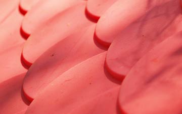 Rudgeway plastic roof costs