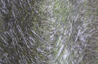 Rudgeway fibreglass roof work