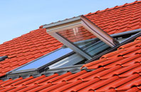 Rudgeway roof window